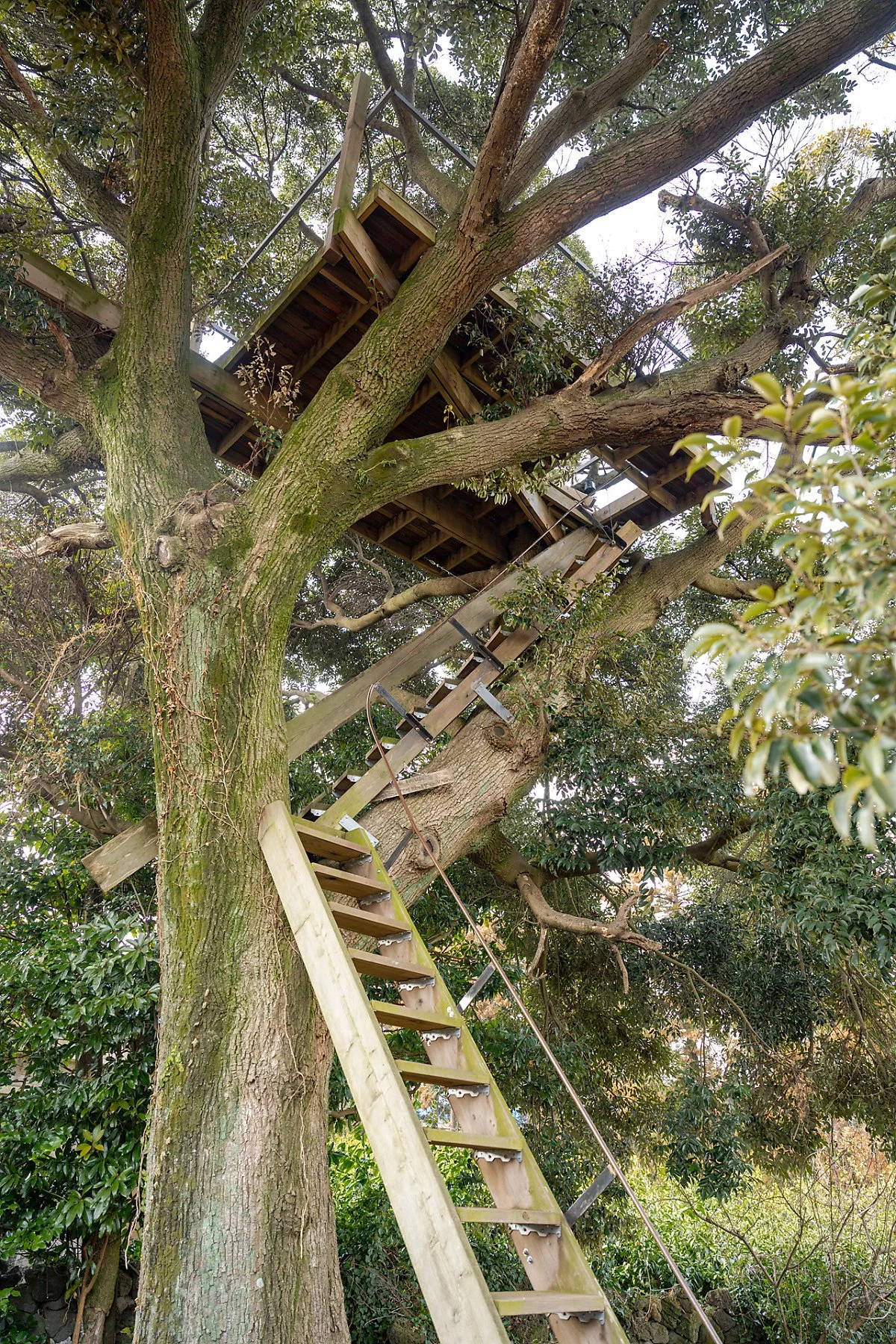 %EC%8B%A0%ED%92%8D%EB%A6%AC_%ED%95%98%EC%9D%B4%EC%9E%AC_%2813%29.jpg?type=w1200