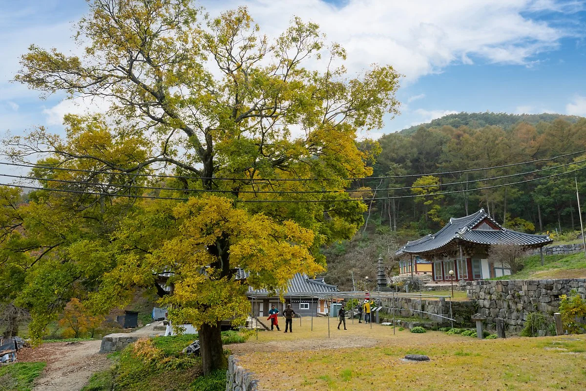 %EC%84%A0%EA%B5%AD%EC%82%AC.jpg?type=w1200