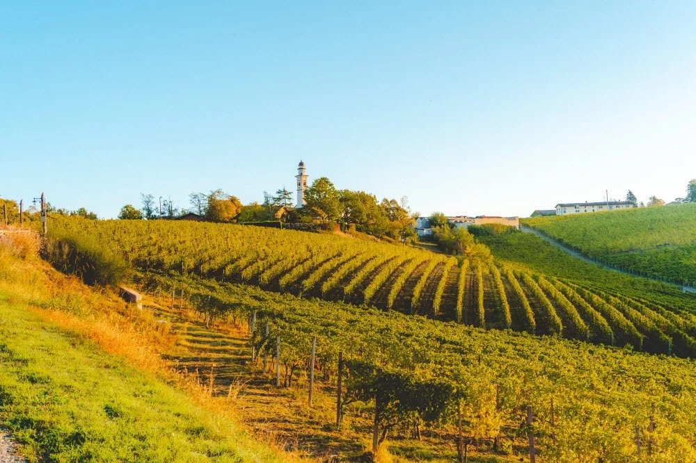 %ED%8F%AC%EB%8F%84%EB%B0%AD_%288%29.jpg?type=w1200