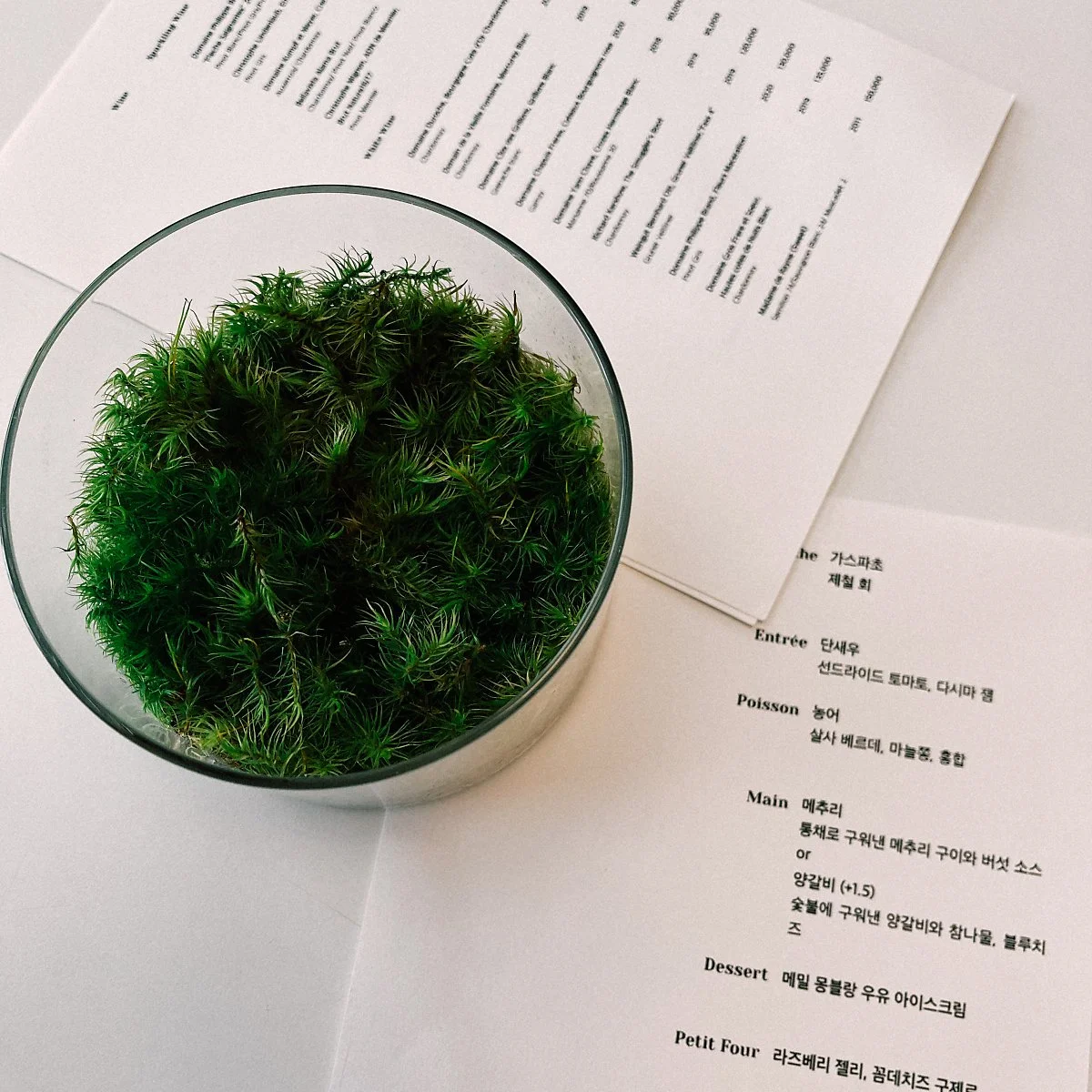 %EB%A7%A4%ED%8A%9C_%287%29.jpg?type=w1200