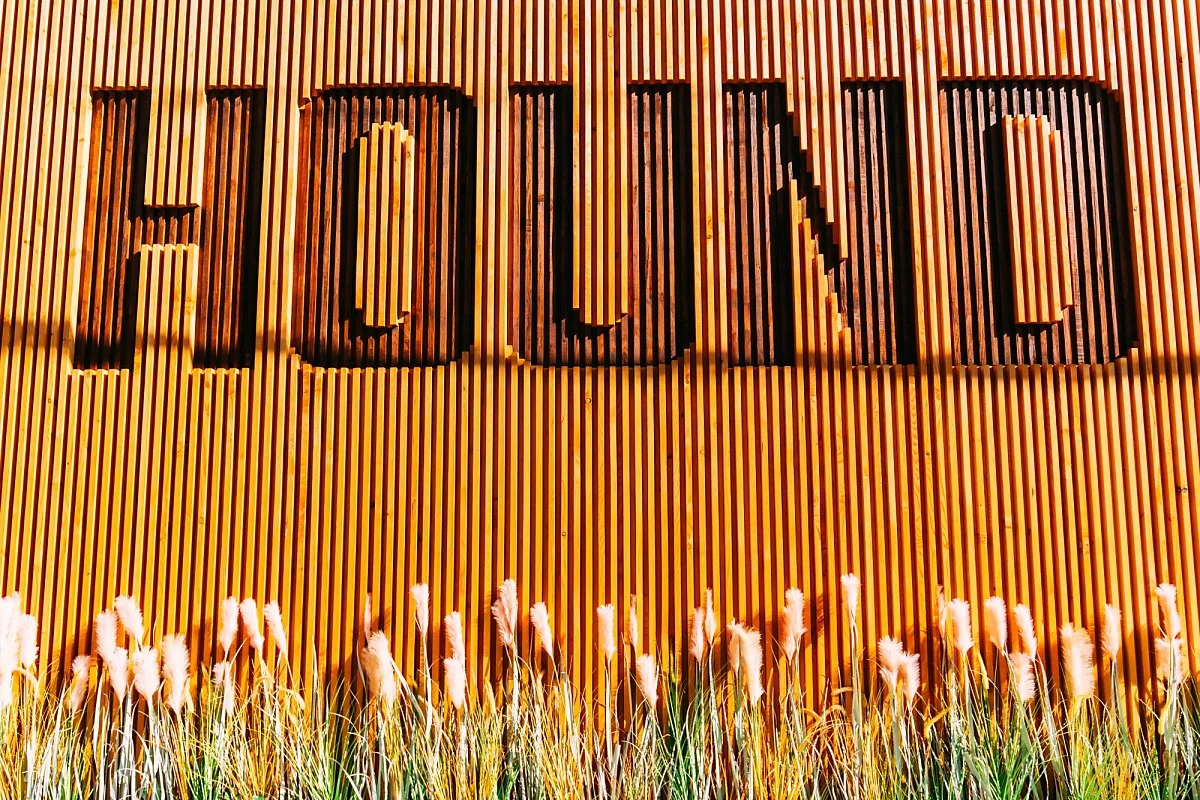 Hound_Hotel-1.JPG?type=w1200