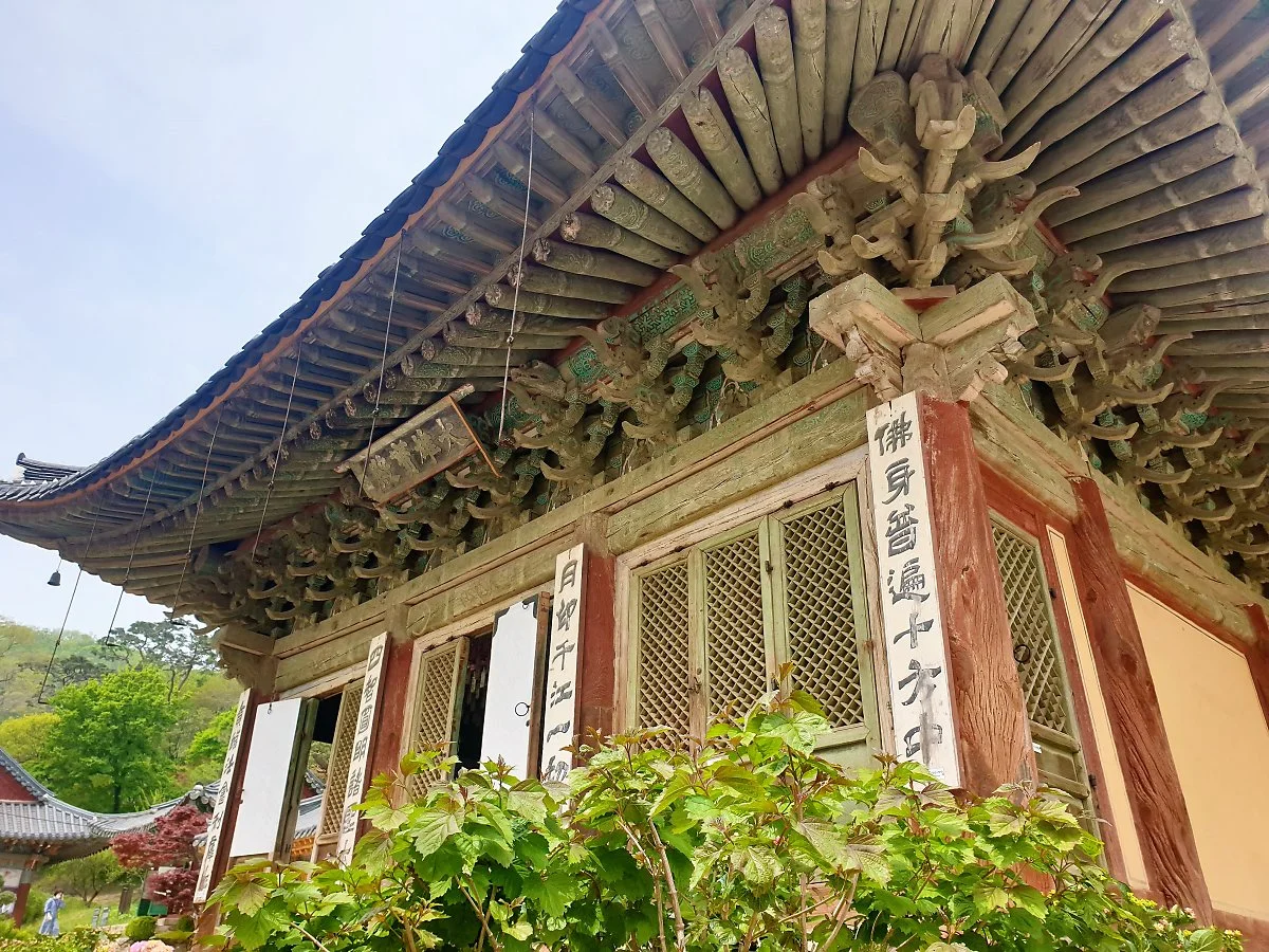 %EC%A0%84%EB%93%B1%EC%82%AC_%285%29.jpg?type=w1200