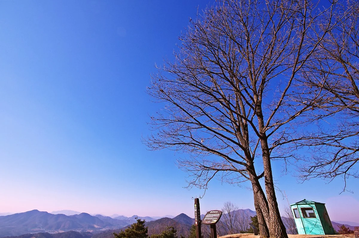 %EC%9E%A5%EB%AF%B8%EC%82%B0_%EC%A0%95%EC%83%81%2C_%EC%9E%A5%EB%AF%B8%EC%82%B0%EC%84%B1_%EC%84%9C%EB%B6%81%EC%AA%BD_%EC%84%B1%EB%B2%BD_%EB%B6%80%EA%B7%BC%EC%97%90_%EC%9E%88%EB%8A%94_%EB%82%98%EB%AC%B4.JPG?type=w1200