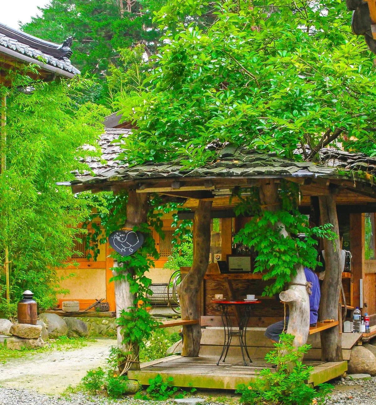 image_1791601411627879591281.jpg?type=w1200