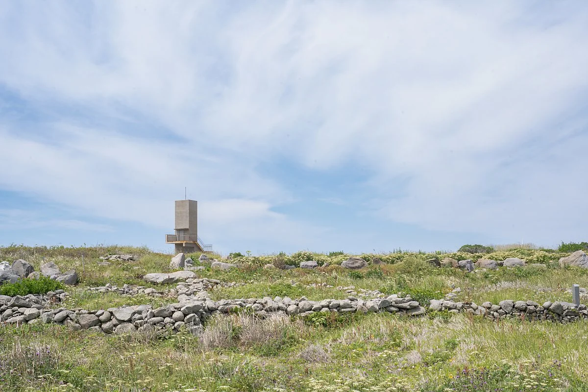 %EA%B0%80%ED%8C%8C%EB%8F%84_%EC%95%84%ED%8B%B0%EC%8A%A4%ED%8A%B8%EC%9D%B8_%EB%A0%88%EC%A7%80%EB%8D%98%EC%8A%A4.jpg?type=w1200