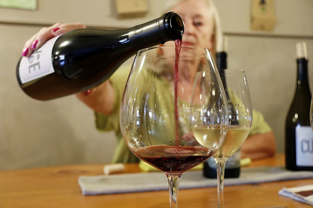 7-4.Domain Darius-tasting.JPG