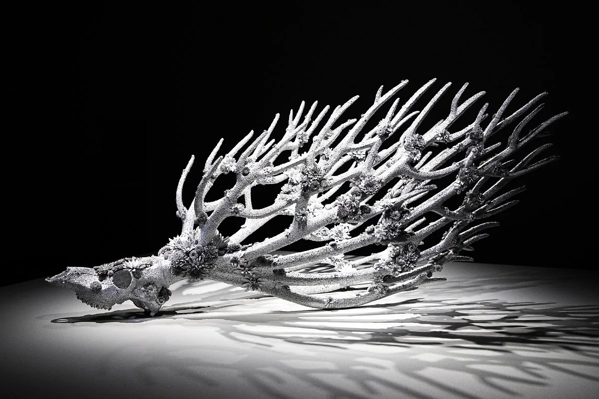 %EA%B5%AD%EB%A6%BD%EA%B3%B5%EC%98%88%EA%B4%80%283%29.jpg?type=w1200