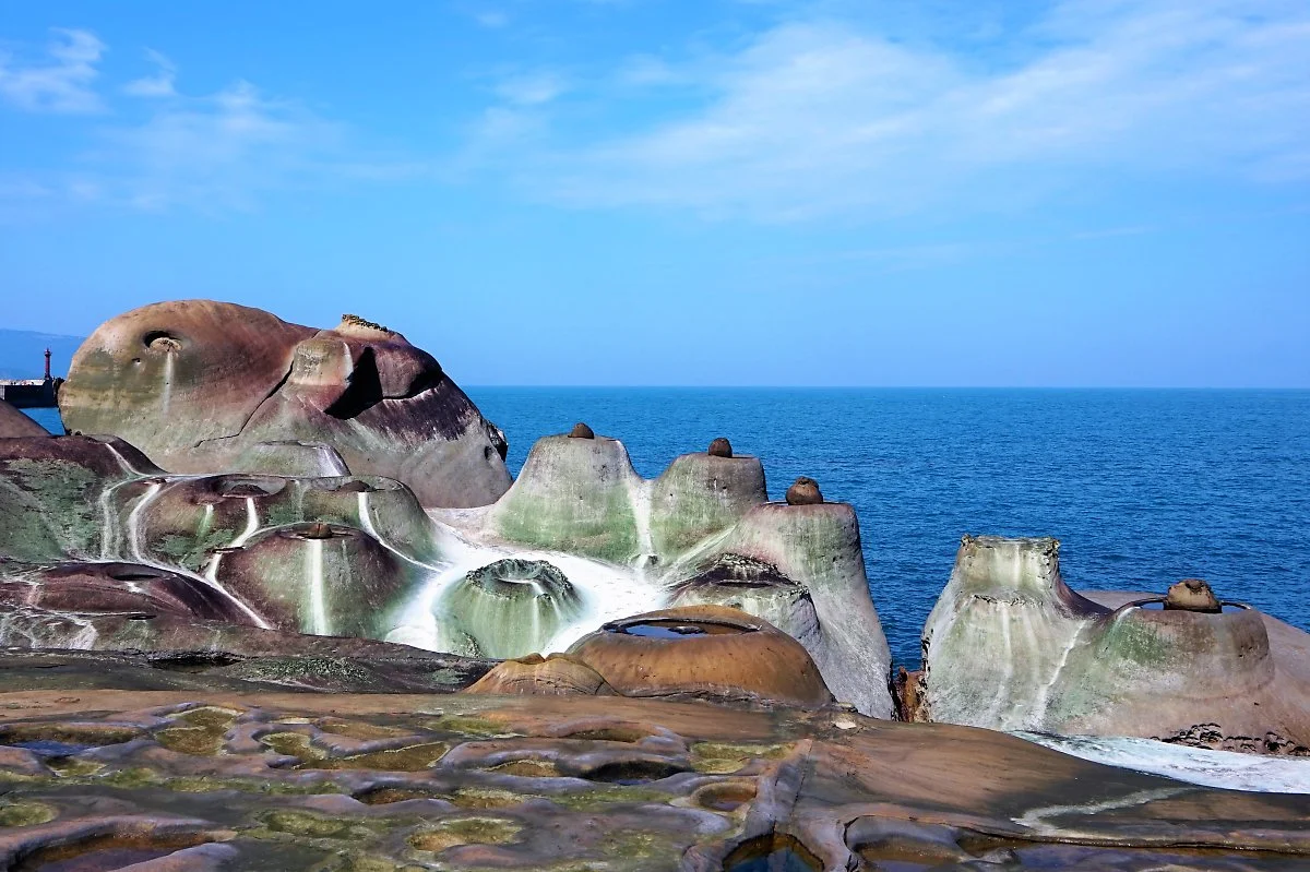 01%EC%98%88%EB%A6%AC%EC%9A%B0_%EC%B4%9B%EB%8C%80%EB%B0%94%EC%9C%84.JPG?type=w1200