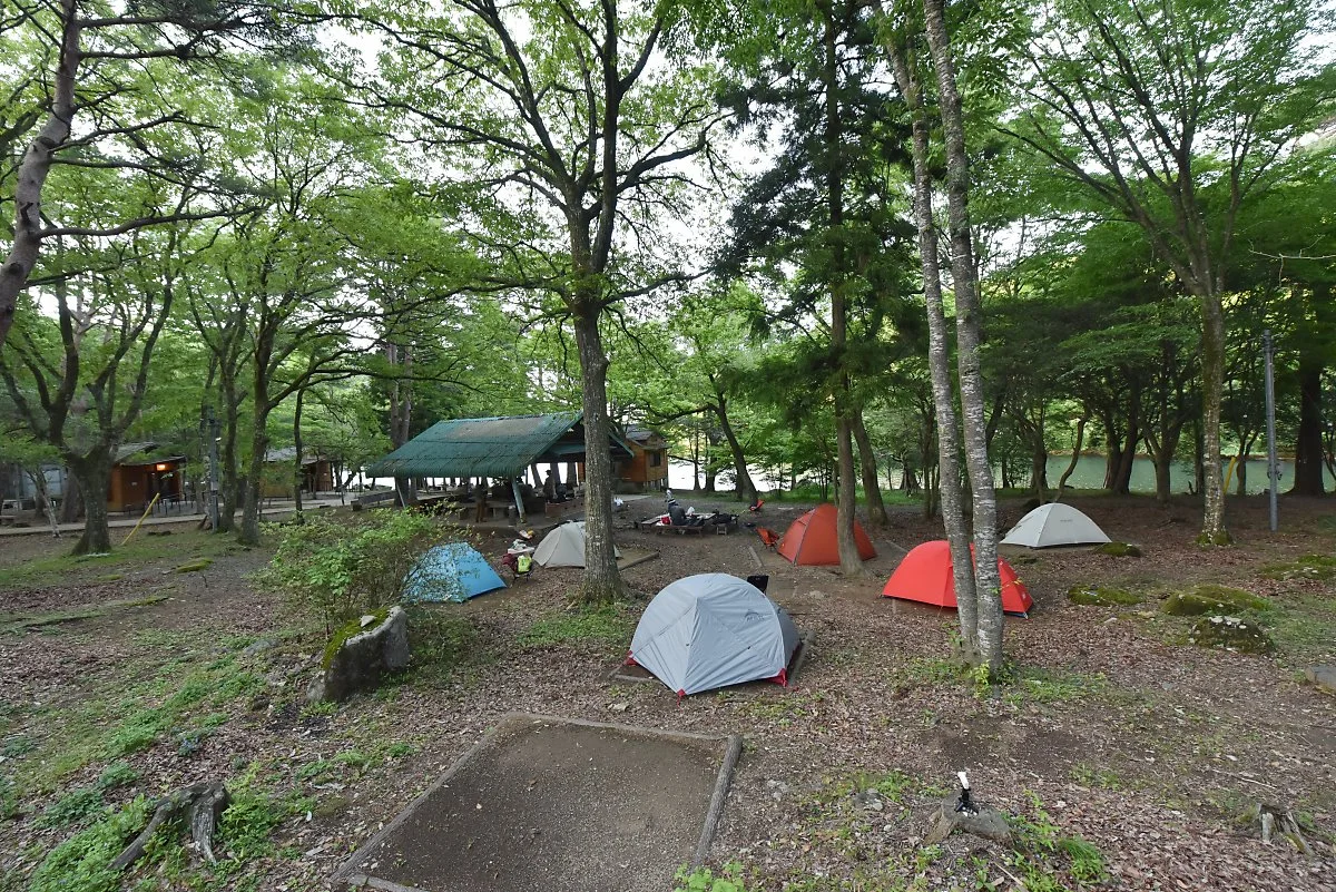 %ED%9E%88%EB%A1%9C%EC%BD%94%EC%9A%B0%EB%9D%BC_%281%29.jpg?type=w1200