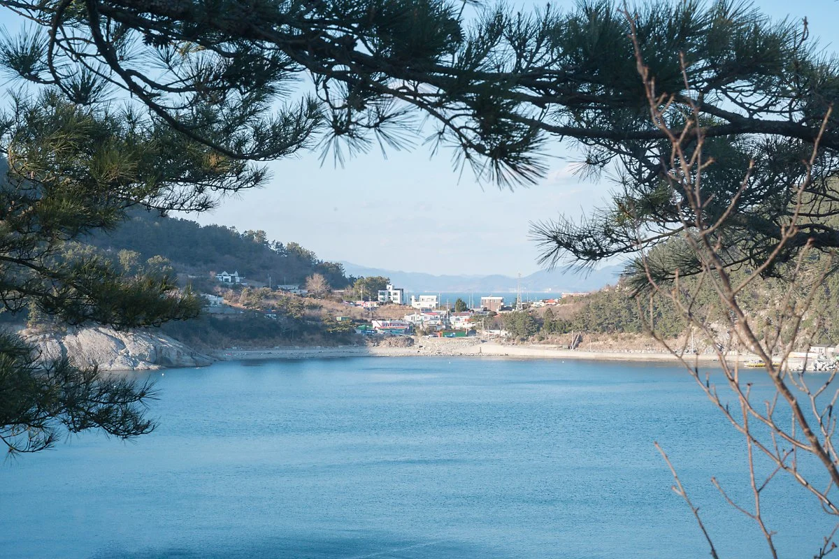 %EC%83%9B%EA%B0%9C%EC%97%90%EC%84%9C_%EB%B0%94%EB%9D%BC%EB%B3%B8_%EB%8C%80%ED%95%AD%EB%A7%88%EC%9D%84_%281%29.jpg?type=w1200