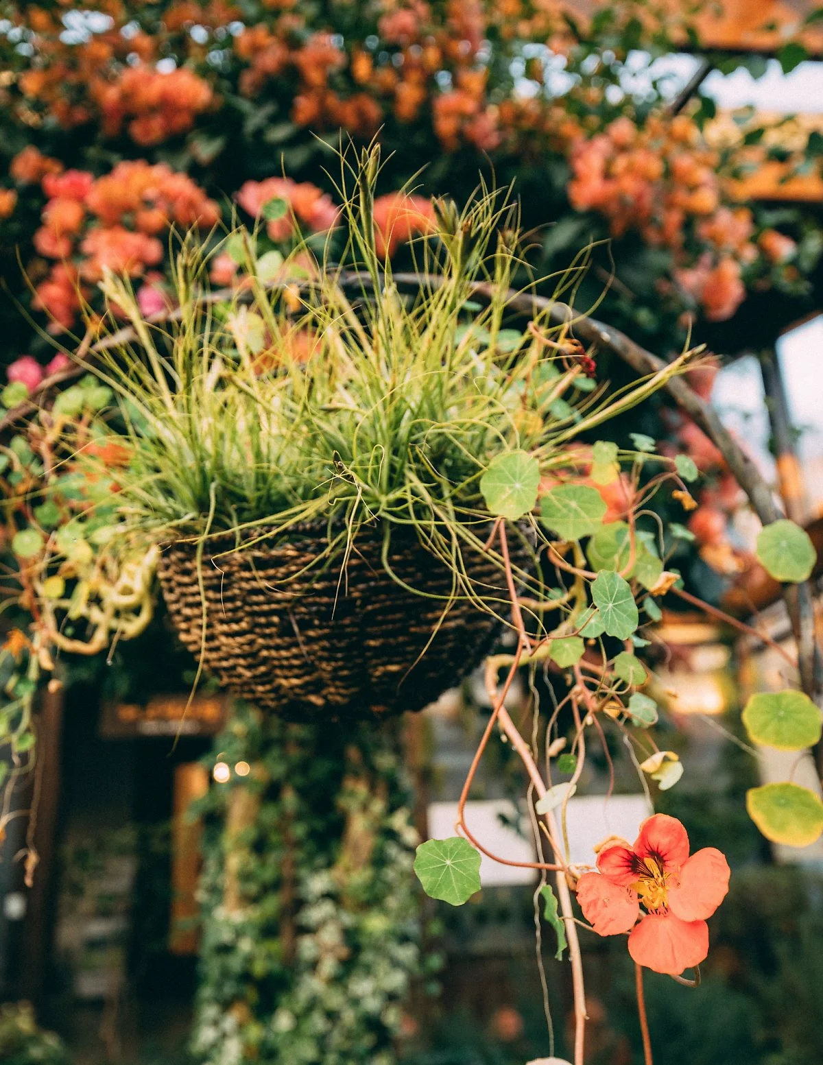 %ED%81%AC%EA%B8%B0%EB%B3%80%ED%99%98%ED%97%88%EB%B8%8C_%EB%B9%8C%EB%A6%AC%EC%A7%80__%2851%29.JPG?type=w1200