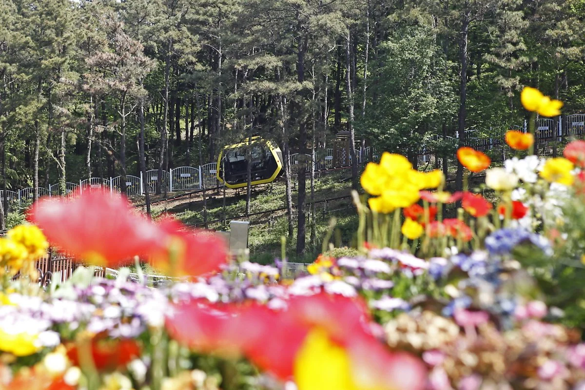 %EB%A9%94%EC%9D%B8%EA%B5%AC%EC%84%9D%EA%B5%AC%EC%84%9D_%EA%B3%84%EC%A0%88_%EA%BD%83%EC%9D%B4_%ED%94%BC%EB%8A%94_%ED%99%94%EA%B0%9C%EC%A0%95%EC%9B%90_%EB%B0%95%EC%83%81%EC%A4%80_%EC%B4%AC%EC%98%81.jpg?type=w1200