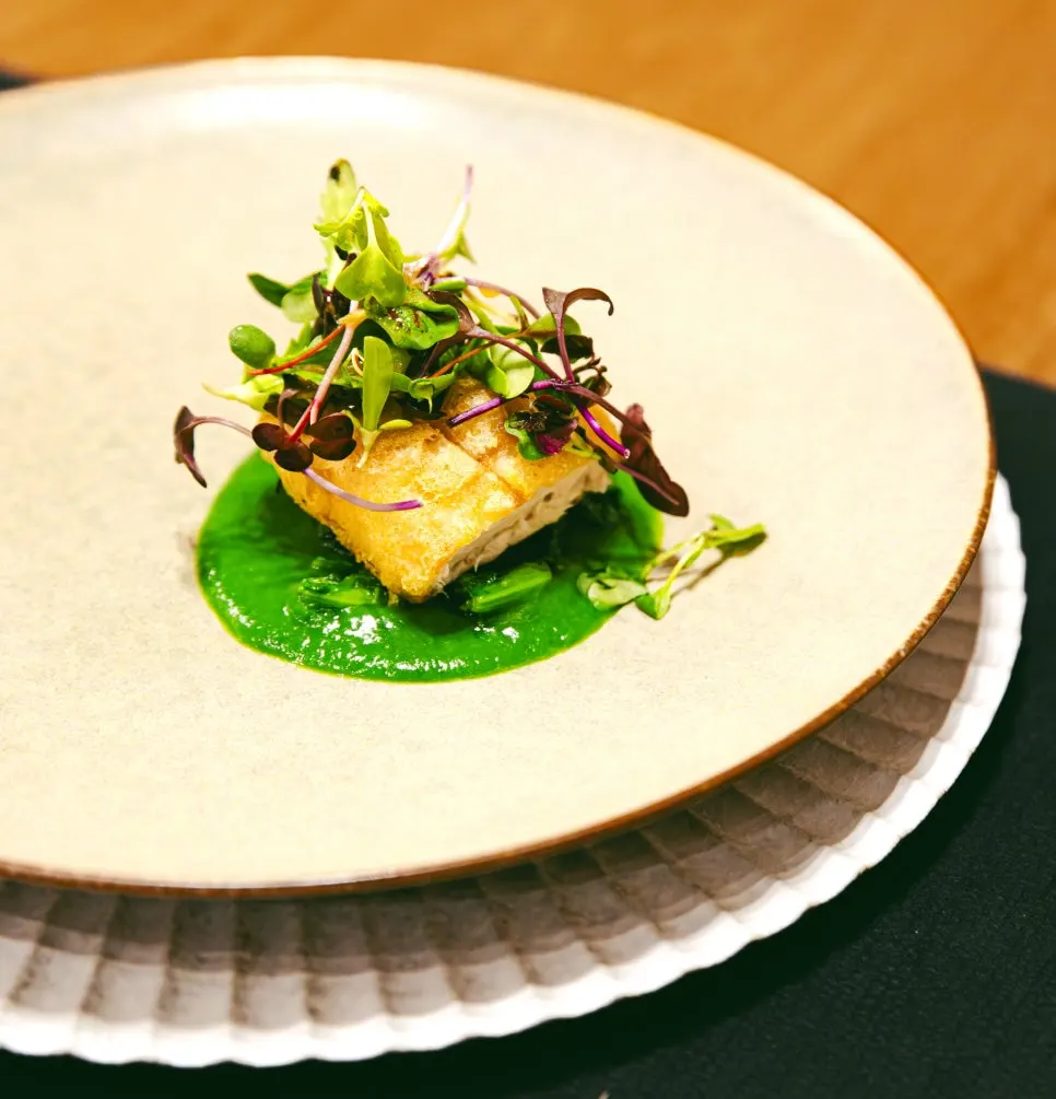 SE-fbcbf64c-8fbd-46b6-9f3f-52b6cb1c3f3e.jpg?type=w966