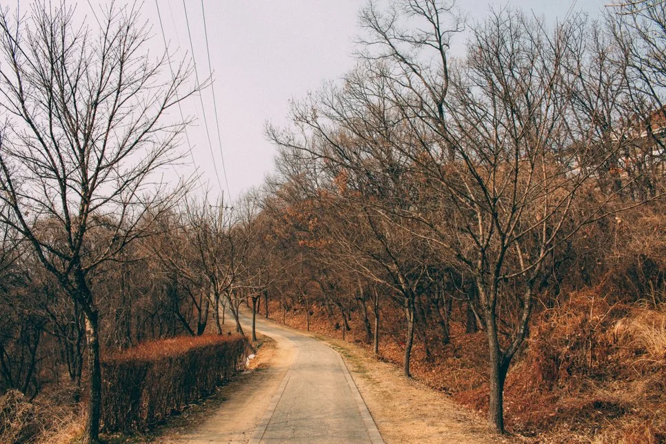 %EA%B0%95%ED%99%94%EB%8F%84_%EC%B6%95%EC%86%8C-34.jpg?type=w1200