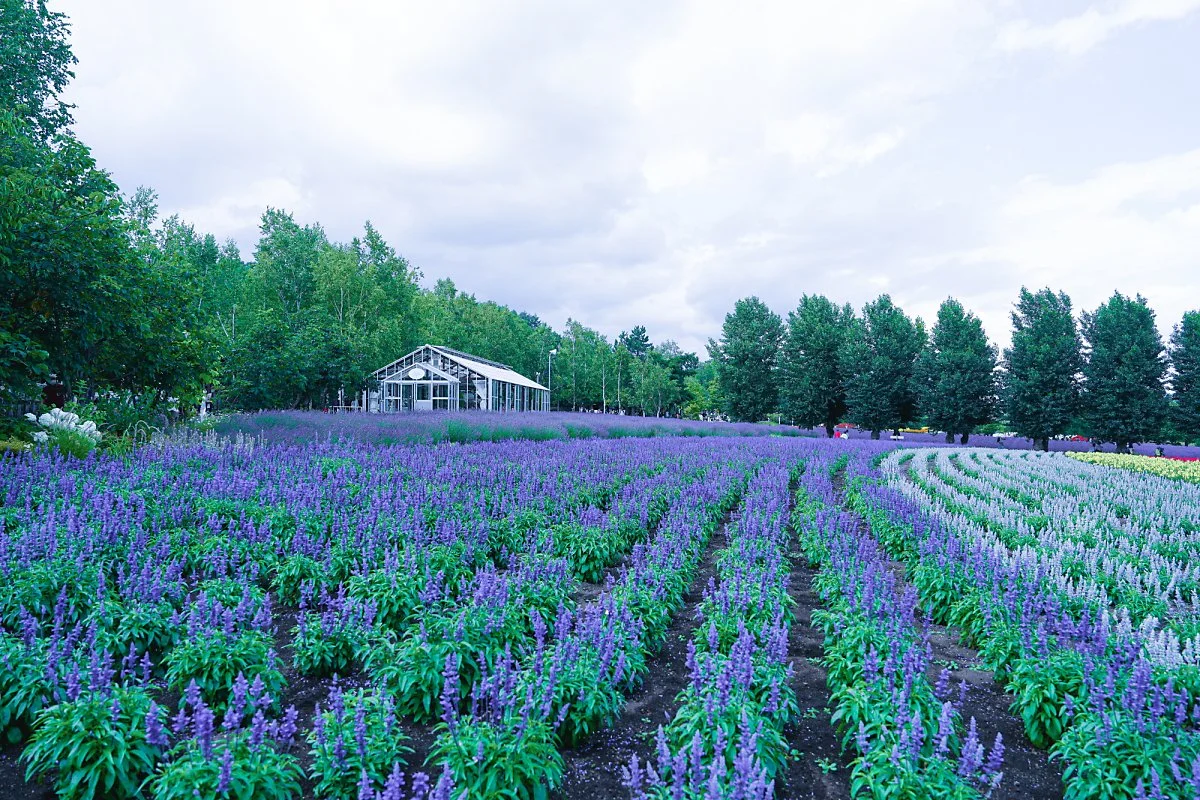 %ED%8C%9C_%ED%86%A0%EB%AF%B8%ED%83%80_%2824%29.jpg?type=w1200