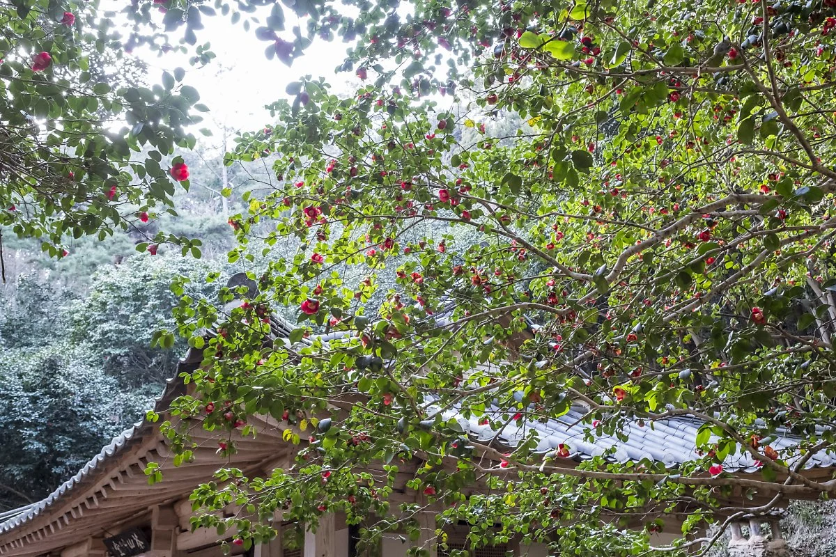 %EB%8B%A4%EC%82%B0%EC%B4%88%EB%8B%B9_1.jpg?type=w1200