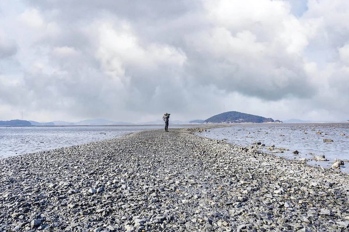 %EC%9B%85%EB%8F%84_%EB%B0%94%EB%8B%A4%EA%B0%88%EB%9D%BC%EC%A7%90.jpg?type=w1200