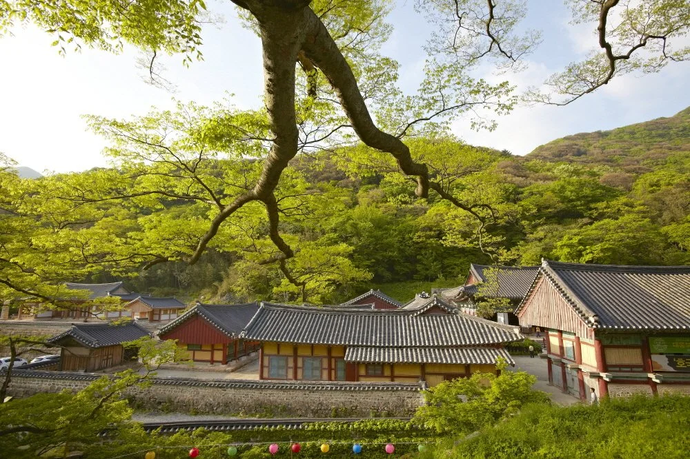 %EC%82%AC%EC%A7%84_%282%29.jpg?type=w1200