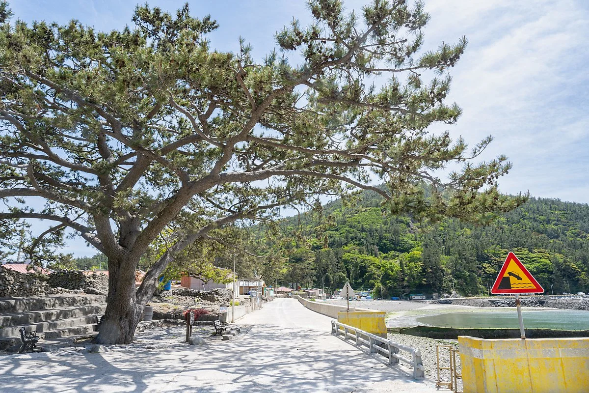 %EC%A7%81%ED%8F%AC%EB%A7%88%EC%9D%84%EB%B3%B4%ED%98%B8%EC%88%98_%281%29.jpg?type=w1200