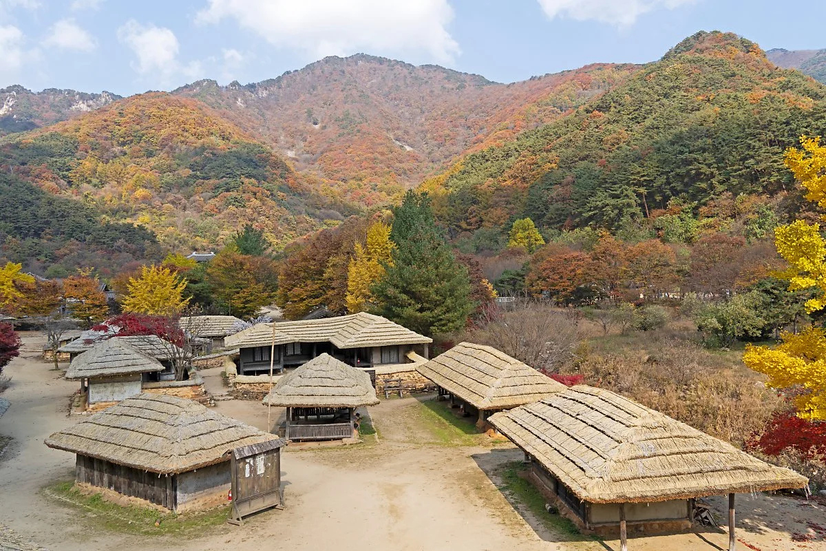 %EC%82%AC%EC%A7%8411_%EB%AC%B8%EA%B2%BD%EC%83%88%EC%9E%AC_%EC%98%A4%ED%94%88%EC%84%B8%ED%8A%B8%EC%9E%A5_%EC%84%9C%EB%AF%BC%EC%B4%8C.jpg?type=w1200