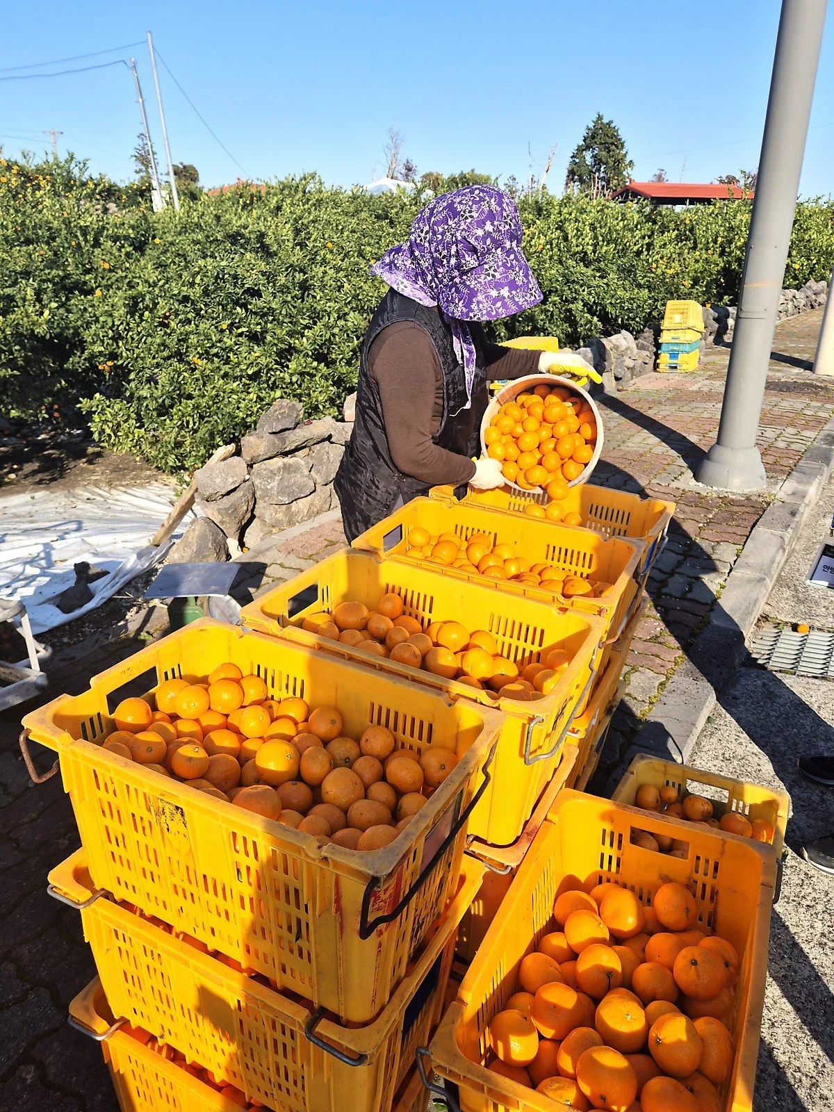 %EA%B0%90%EA%B7%A4%EC%88%98%ED%99%95_%EC%A4%91%EC%9D%B8_%EC%A3%BC%EB%AF%BC._%EA%B8%B8%EC%9D%84_%EA%B1%B7%EB%8B%A4%EA%B0%80_%ED%95%98%EB%82%98_%EC%96%BB%EC%96%B4%EB%A8%B9%EC%9D%84_%EC%88%98_%EC%9E%88%EC%97%88%EB%8B%A4..jpg?type=w1200