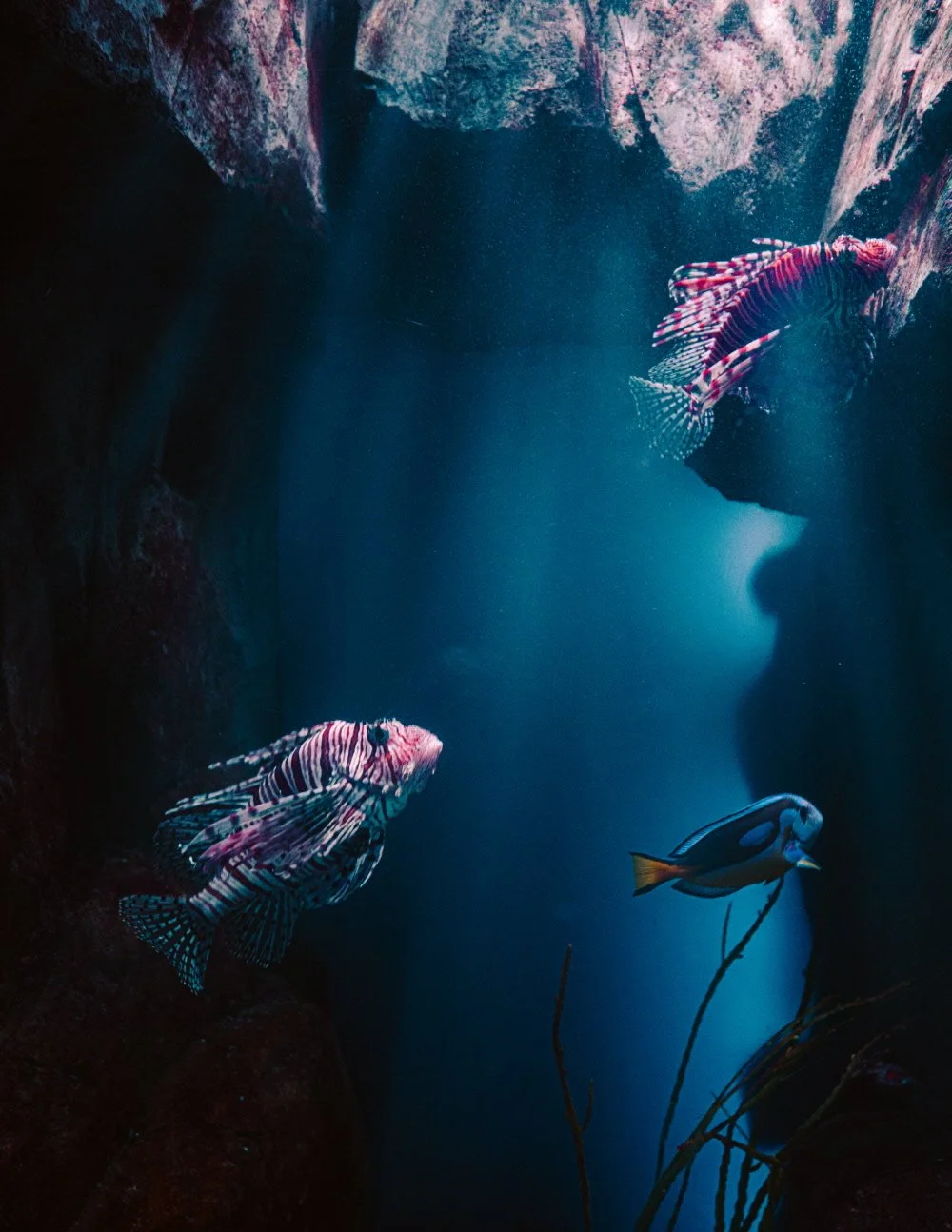 %EA%B7%B8%EB%9E%9C%EB%93%9C_%EC%95%84%EC%BF%A0%EC%95%84%EB%A6%AC%EC%9B%80_%281%29.jpg?type=w1200