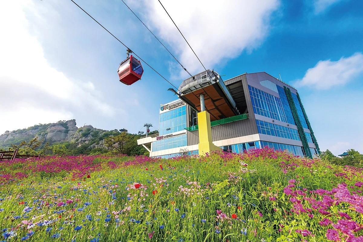 4_%EB%82%98%28%EB%AA%A9%ED%8F%AC%ED%95%B4%EC%83%81%EC%BC%80%EC%9D%B4%EB%B8%94%EC%B9%B4%29.jpg?type=w1200