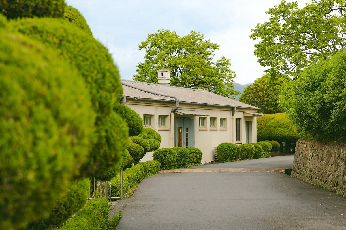 _86A6241.jpg?type=w1200