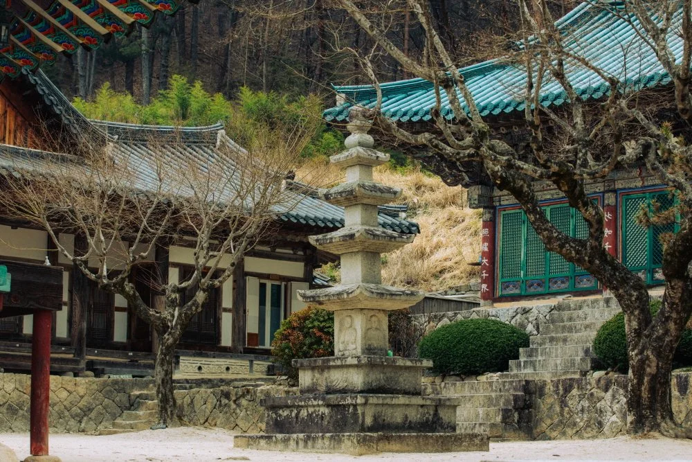 %EA%B9%80%EC%B2%9C_%EA%BD%83%EC%9D%84_%EC%B0%BE%EC%95%84%EC%84%9C__%2826_-_35%29.JPG?type=w1200