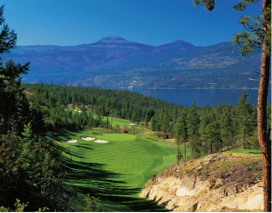 %ED%94%84%EB%A0%88%EB%8D%B0%ED%84%B0_%EB%A6%BF%EC%A7%80_%EA%B3%A8%ED%94%84_%EB%A6%AC%EC%A1%B0%ED%8A%B8.png?type=w1200