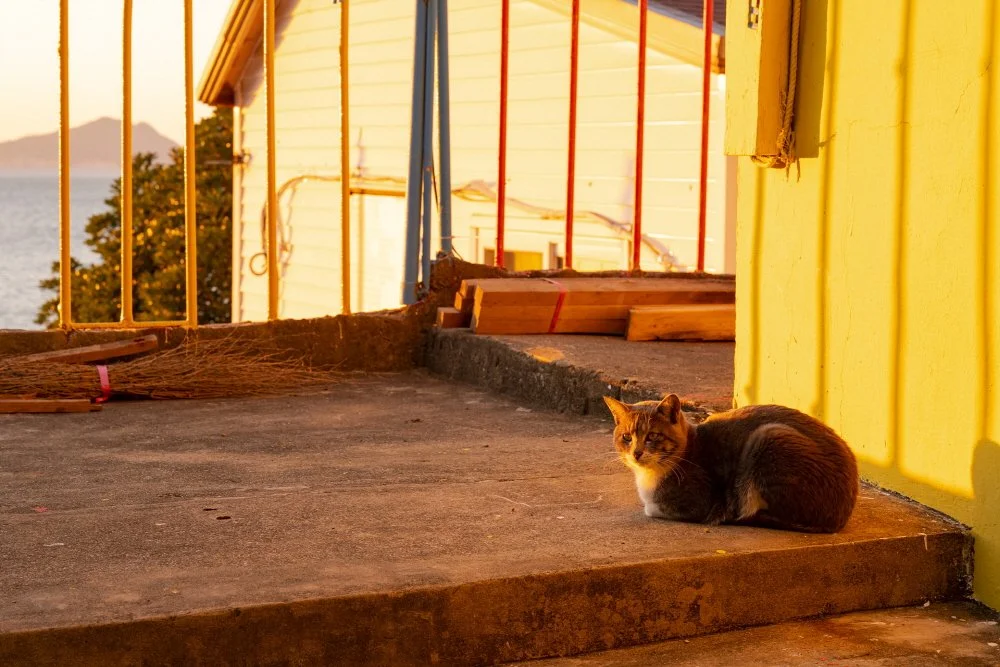 %EB%A7%A4%EB%AC%BC%EB%8F%84_%EB%8C%80%ED%95%AD%EB%A7%88%EC%9D%84_%282%29.jpg?type=w1200