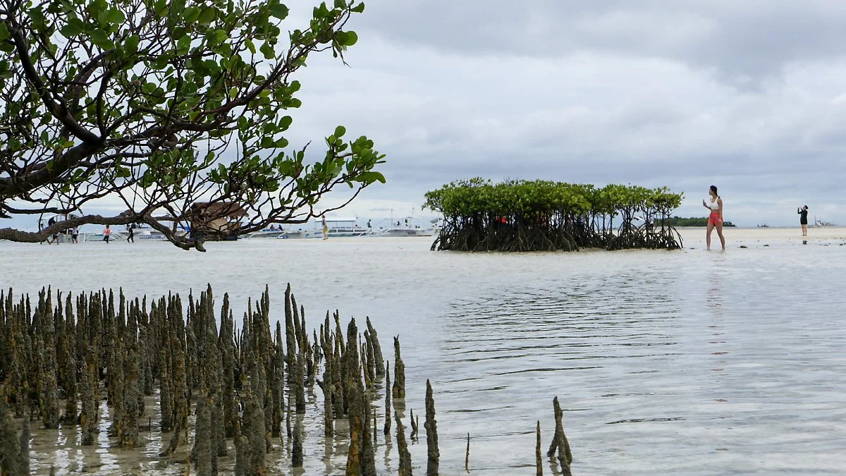 %EB%8F%84%EB%B9%84%EB%9D%BC_%ED%9B%84%EB%B3%B4_%281%29.jpg?type=w1200