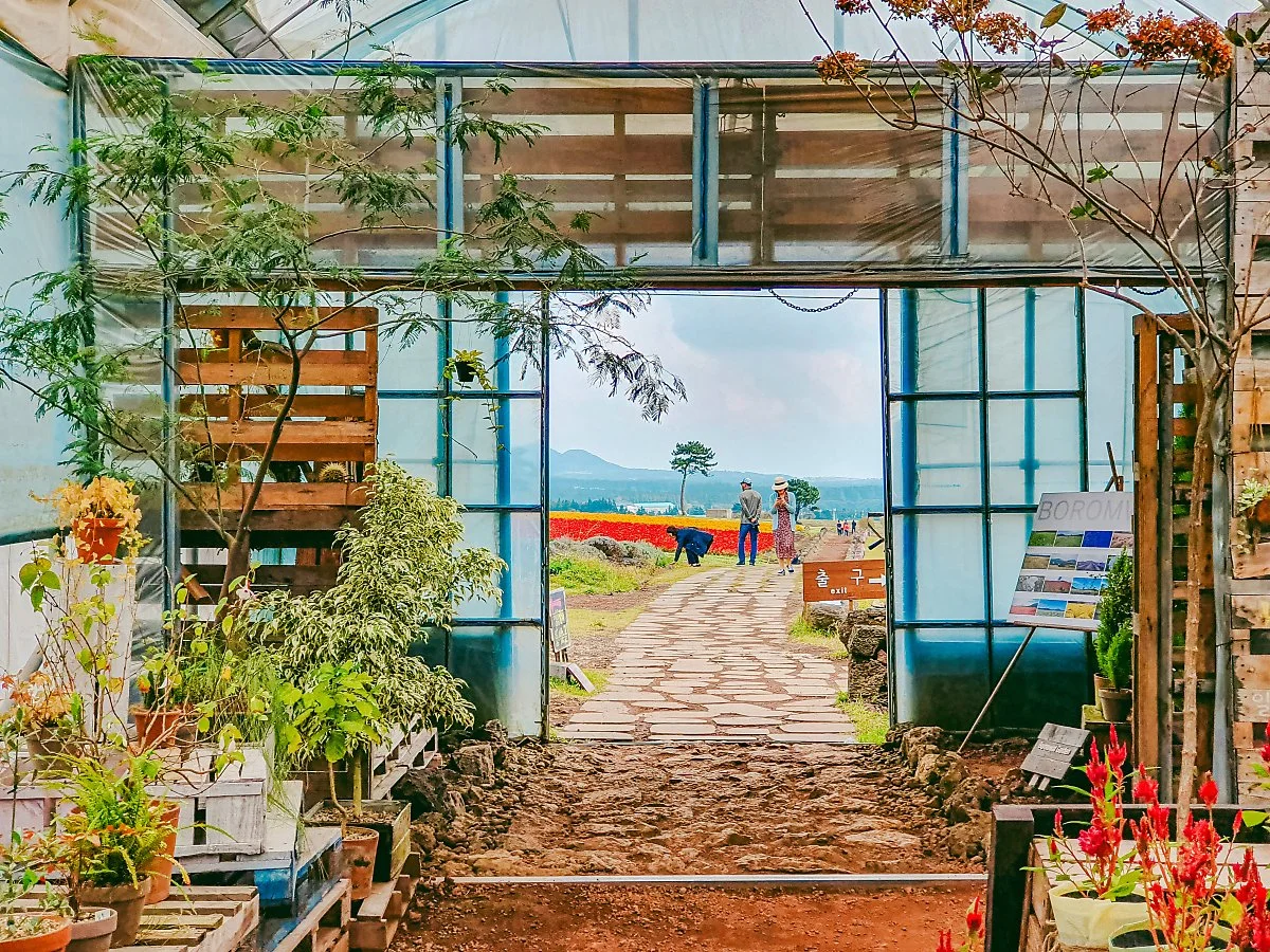 d_%EB%B3%B4%EB%A1%AC%EC%99%93_1.JPG?type=w1200