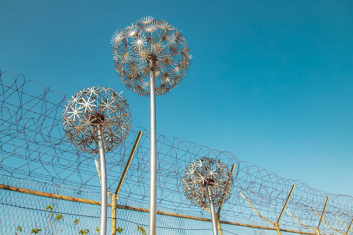 %EA%B9%80%ED%8F%AC_%ED%8F%89%ED%99%94%EB%88%84%EB%A6%AC%EA%B8%B8-15.jpg?type=w1200