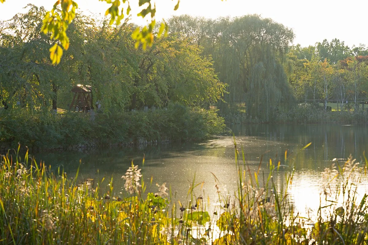 %EC%82%AC%EC%A7%847_%EB%AC%B5%EC%9D%80_%EB%95%8C%EB%A5%BC_%EB%B2%97%EA%B2%A8%EB%82%B8_%EC%9E%90%EC%97%B0_%ED%98%B8%EC%88%98.jpg?type=w1200