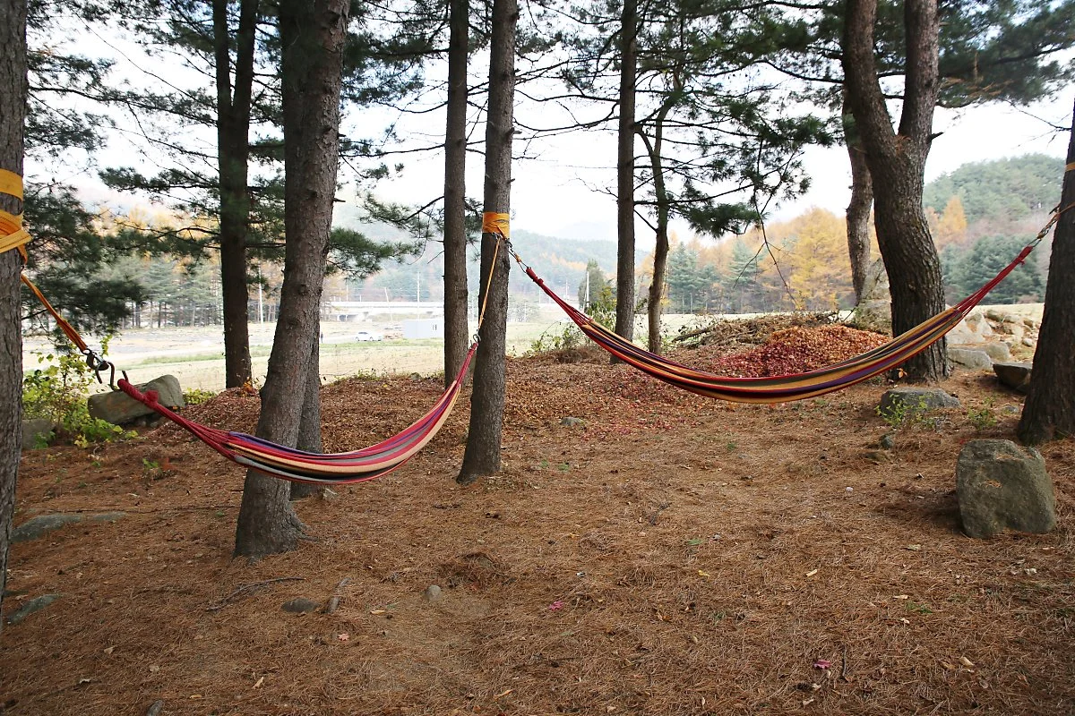 %ED%95%B4%EB%A8%B9%EC%A1%B4.JPG?type=w1200