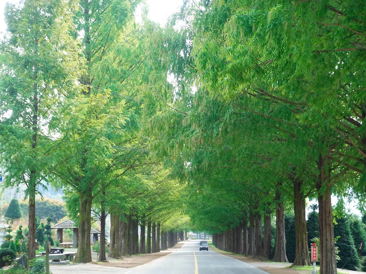 1.%EB%AA%A8%EB%9E%98%EC%9E%AC%EB%84%88%EB%A8%B8_%EB%A9%94%ED%83%80%EC%84%B8%EC%BF%BC%EC%9D%B4%EC%95%84_%EA%B8%B8.jpg?type=w1200