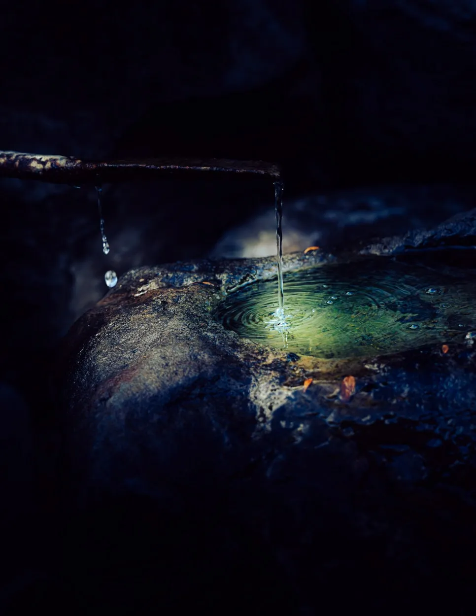 %EB%8F%84%EB%B9%84%EB%9D%BC.jpg?type=w966