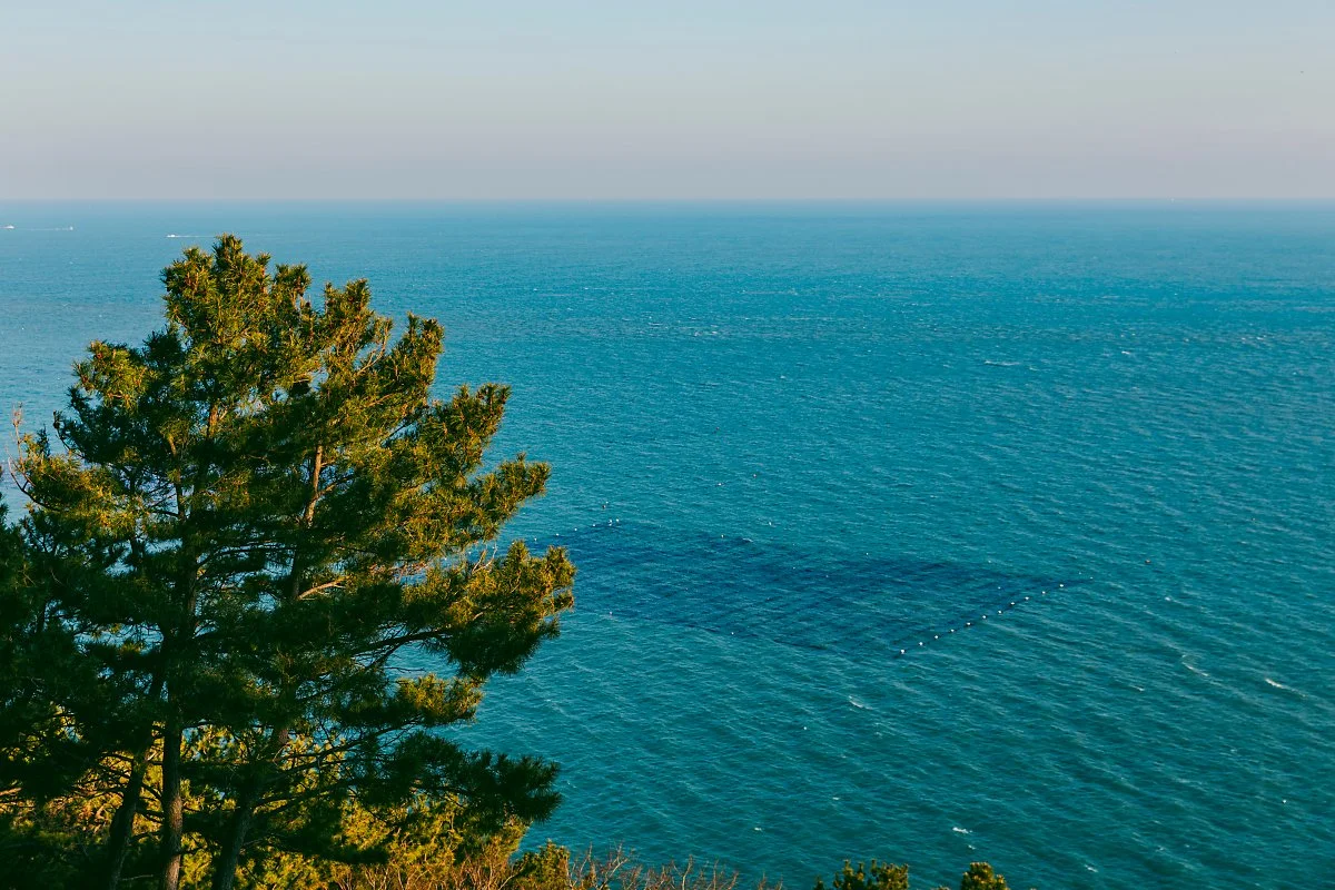 d_%ED%95%B4%EC%9B%94%EC%A0%95_2.jpg?type=w1200