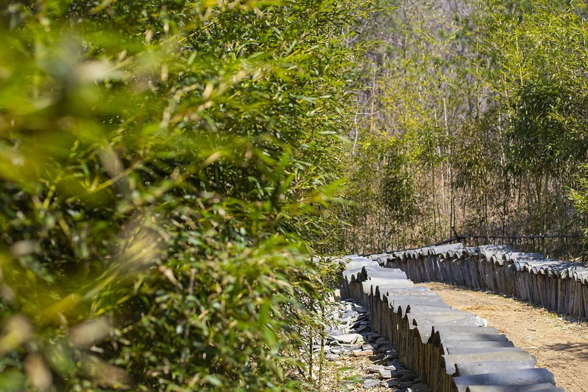 %EC%95%84%EC%9B%90%287%29.jpg?type=w1200