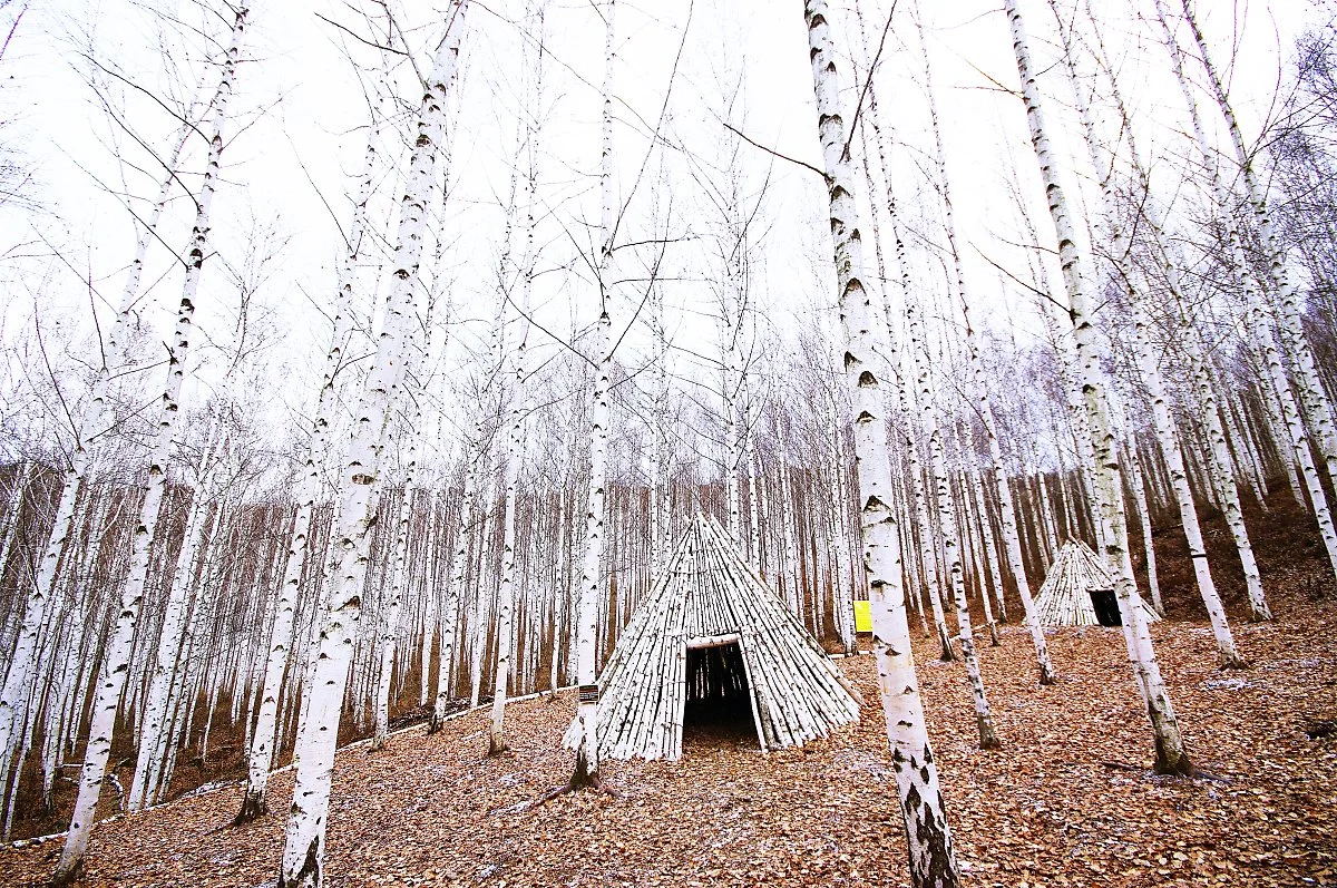 %EC%9E%90%EC%9E%91%EB%82%98%EB%AC%B4%EC%88%B2%EC%9D%80_%ED%95%98%EC%96%97%EB%8B%A4.JPG?type=w1200