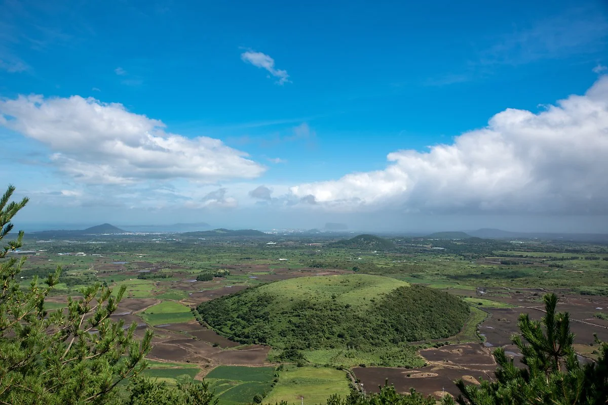 %EB%8B%A4%EB%9E%91%EC%89%AC%EC%98%A4%EB%A6%84_002.jpg?type=w1200