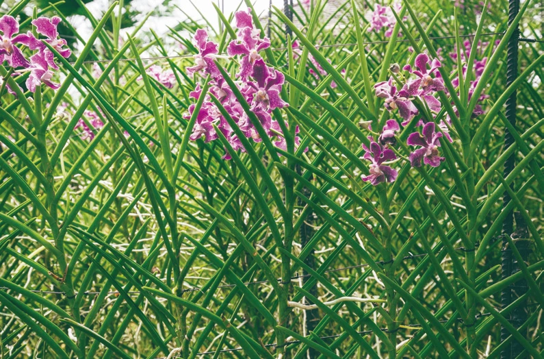 image.png?type=w1200