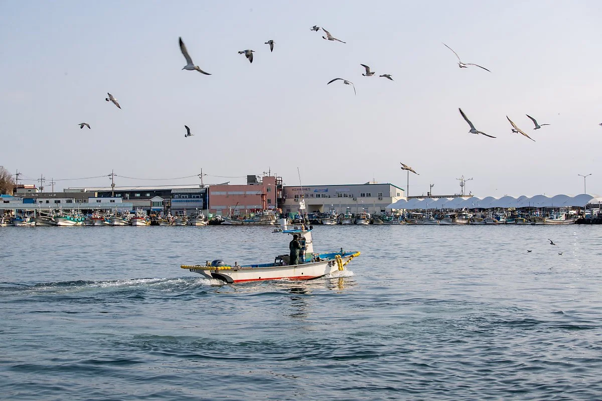 %EC%A3%BC%EB%AC%B8%EC%A7%84%ED%95%AD_%281%29.jpg?type=w1200