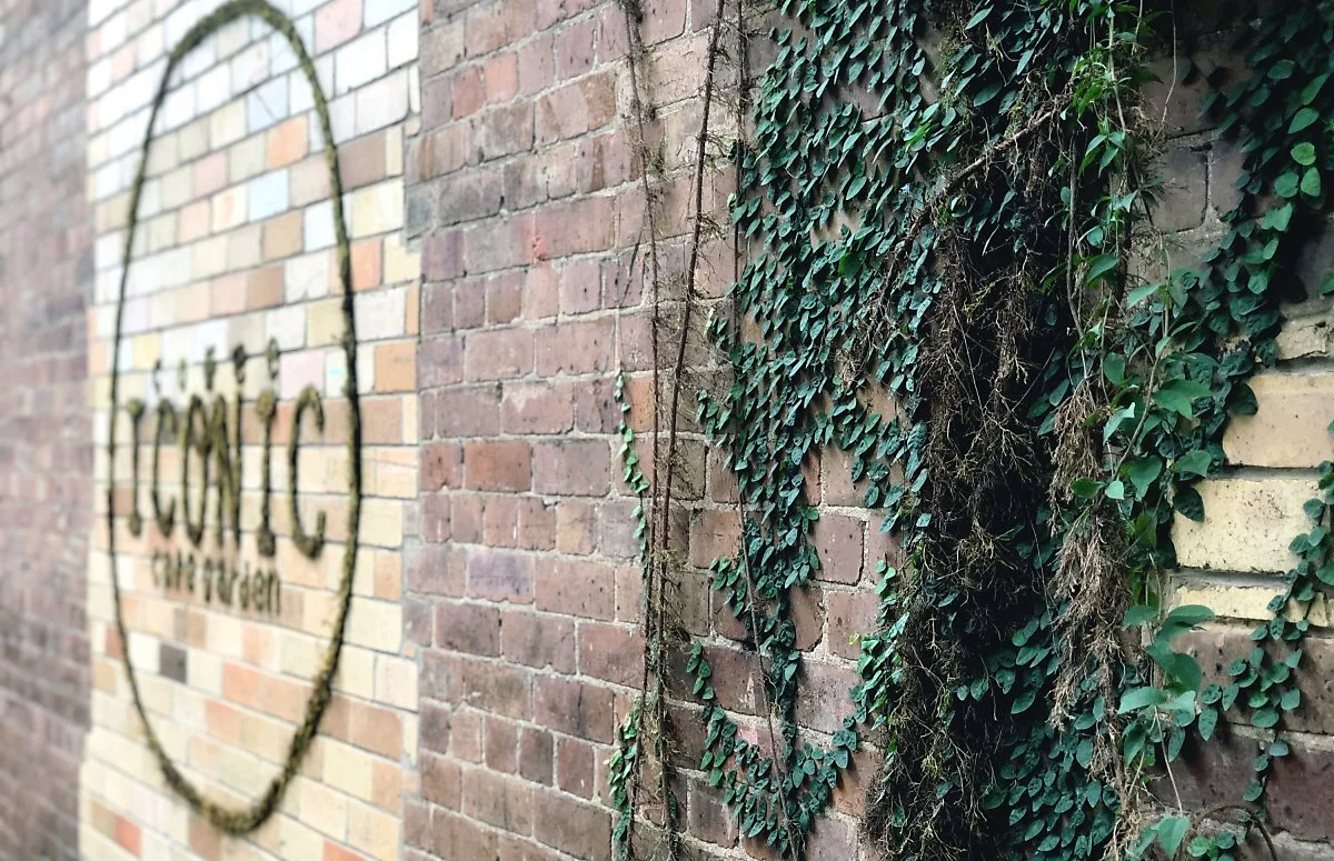 image_1696500791561532107519.jpg?type=w1200