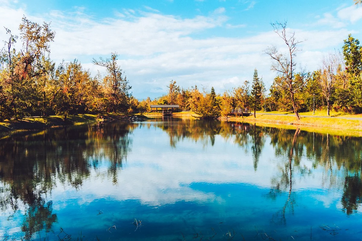 %ED%83%80%EC%9D%B4%EB%8F%99_%EC%82%BC%EB%A6%BC%EA%B3%B5%EC%9B%90_%286%29.jpg?type=w1200