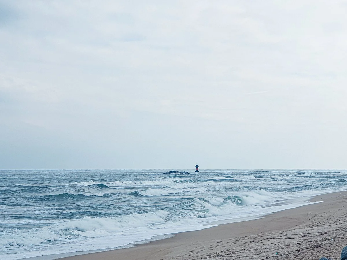 d_%EA%B0%95%EB%A6%89_%EB%B0%94%EB%8B%A4.jpg?type=w1200