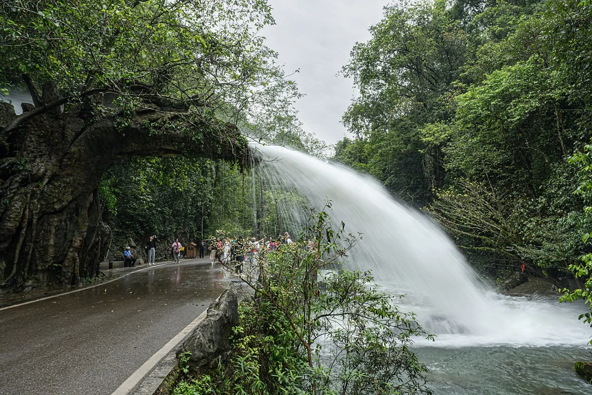 %EC%86%8C%EC%B9%A0%EA%B3%B5%ED%92%8D%EA%B2%BD%EA%B5%AC_%286%29.jpg?type=w1200