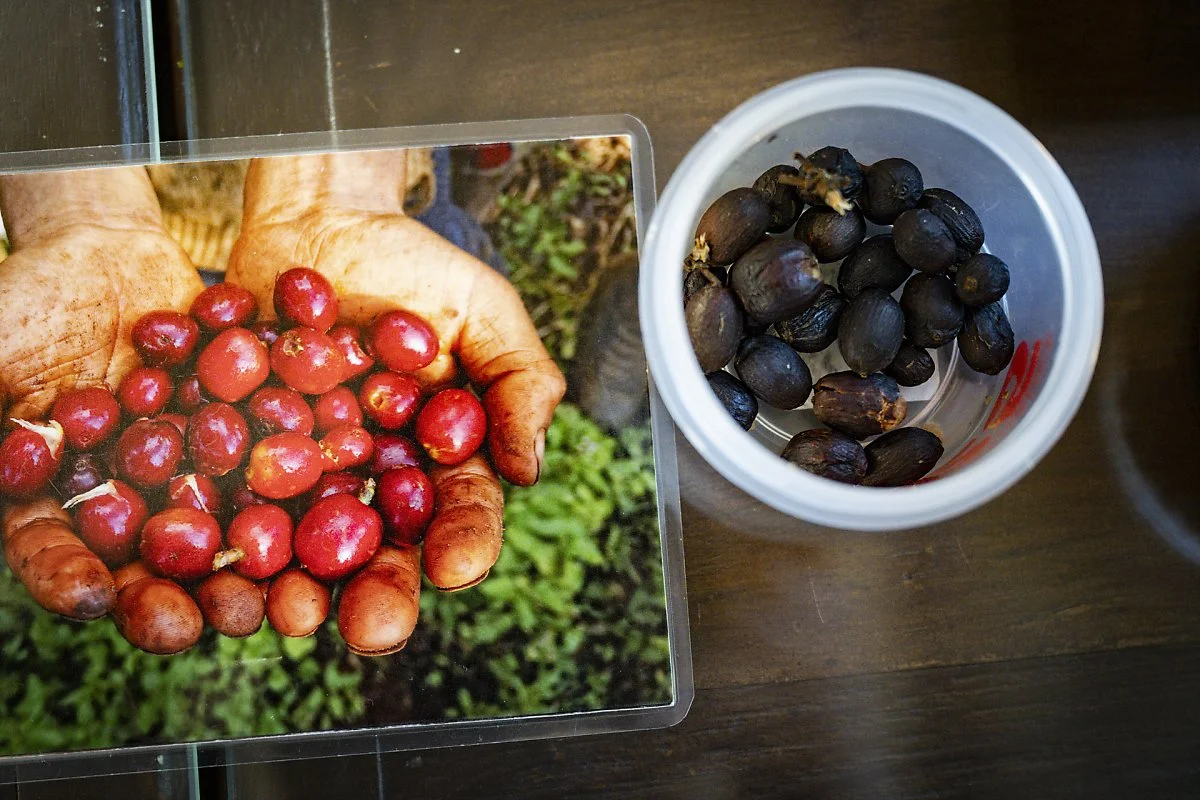 35_%EC%BB%A4%ED%94%BC_%EC%83%9D%EB%91%90._%EA%B8%B0%EB%B6%84_%EC%A2%8B%EC%9D%80_%ED%96%A5%EA%B8%8B%ED%95%A8%EC%9D%B4_%EA%B0%90%EB%8F%88%EB%8B%A4.jpg?type=w1200