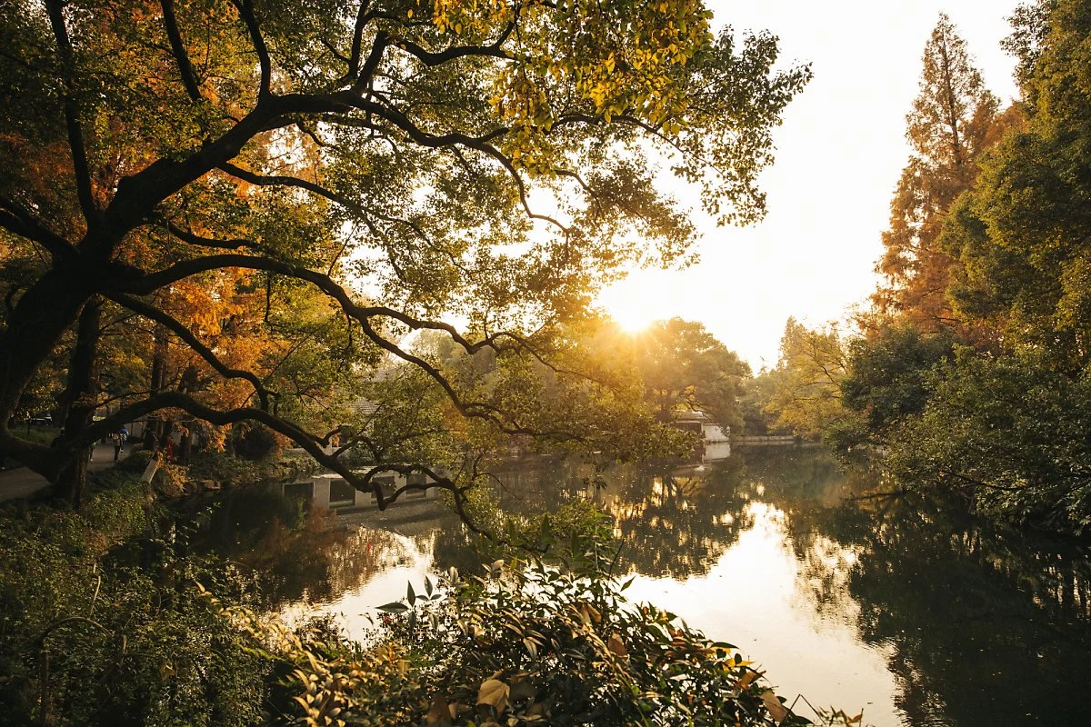 %EC%84%9C%ED%98%B8_%286%29.jpg?type=w1200